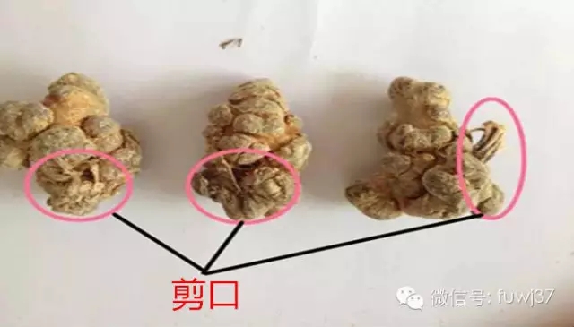 三七好坏最简单的区别方法，三七价格怎么样