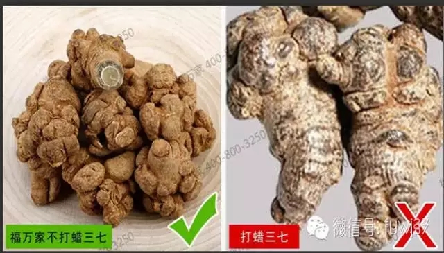 三七好坏最简单的区别方法，三七价格怎么样