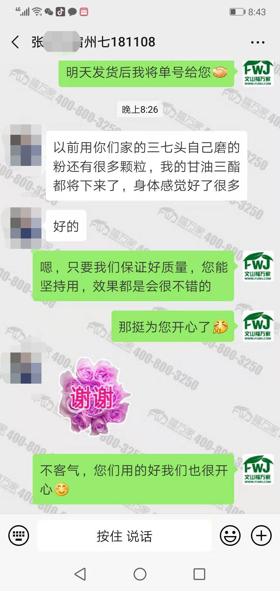 客户反馈吃三七粉一年甘油三酯下降