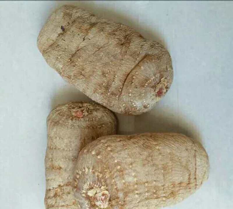 三七和天麻怎么吃？